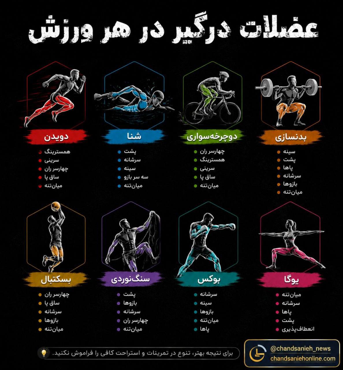 ورزش