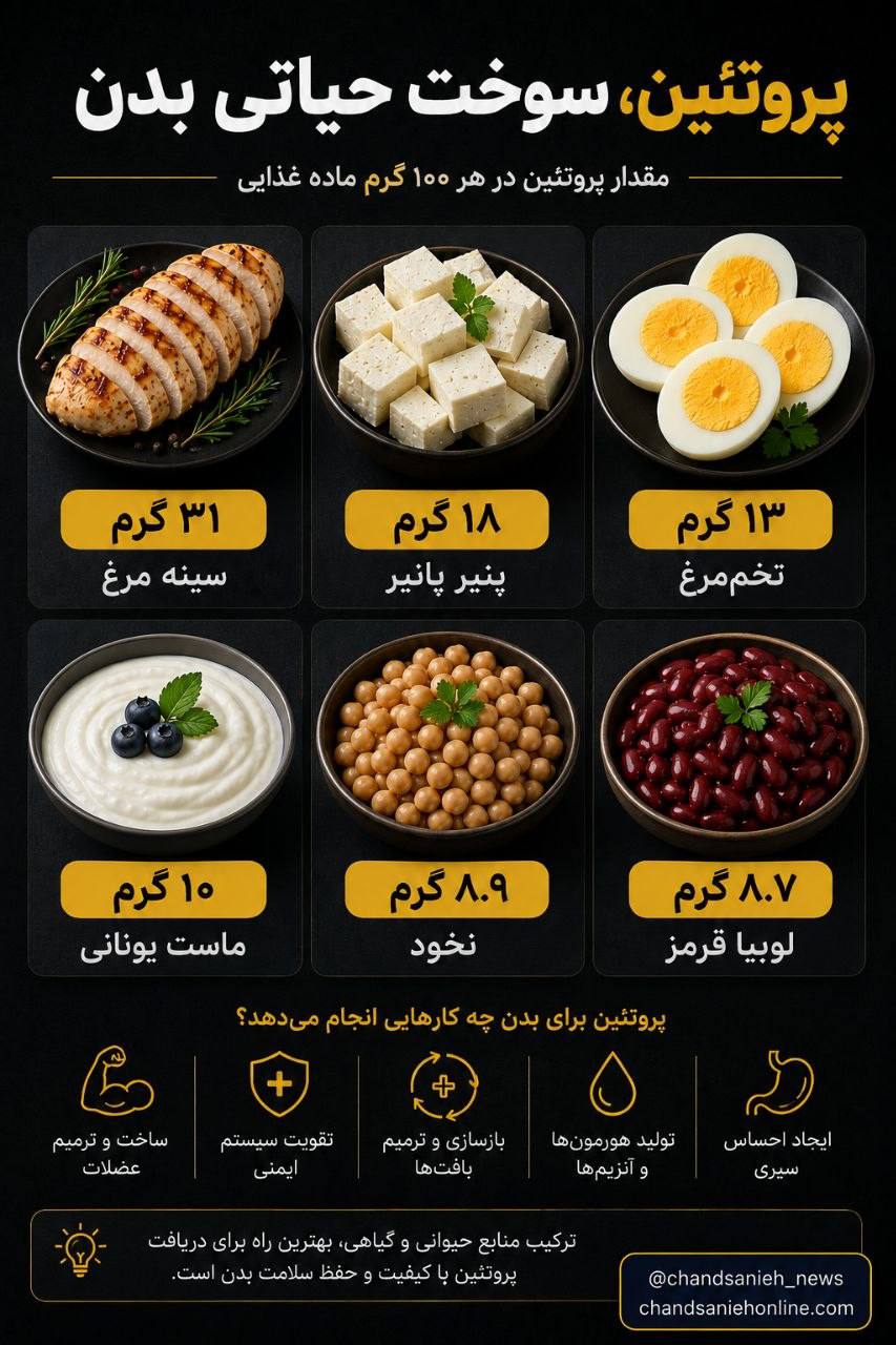 رژیم پروتئینی