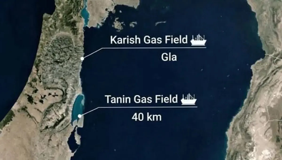 تانین