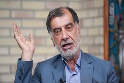 باهنر: نماینده‌ای که به منفعت ملی رأی بدهد، در حوزه انتخابیه با لنگه کفش از او پذیرایی می‌شود!