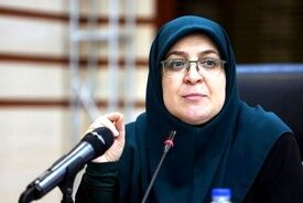 مهاجرانی: امکان خرید پوشک با استفاده از کالابرگ فراهم شد