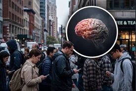 آیا کمتر حرف زدن به مغز آسیب می‌زند؟