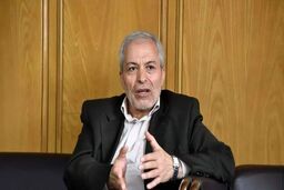 میرلوحی: حاکمیت باید مراقب باشد دوباره آن اتفاقات تکرار نشود  