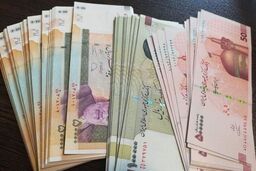 پاکستانی‌ها به سرعت در حال خرید ارز ایران هستند؛ دو تریلیون ریال ایران در چهار روز خریداری شد