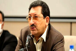 وزیر صمت: ۸۷ درصد تعرفه‌های کالایی کشور صفر شد
