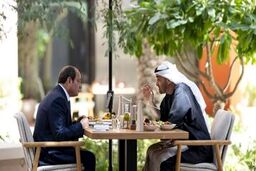 میانجیگری قاهره میان دو شاهزاده/ السیسی پیامی را از بن سلمان به بن زاید منتقل کرد