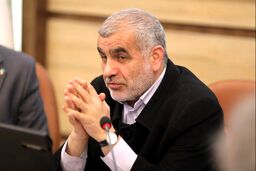 ببینید | نائب رئیس مجلس: ایران آماده بود ۴۵۰ کیلو اورانیوم غنی‌شده را رقیق کند