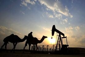 کاهش 20 درصدی تولید نفت عربستان