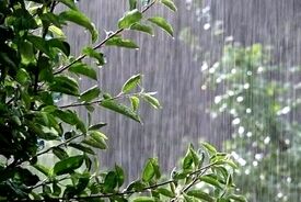 رگبار باران و رعد و برق در ۱۶ استان