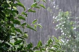 رگبار باران و رعد و برق در ۱۶ استان