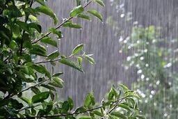 بارش باران و رعد و برق در اغلب مناطق کشور