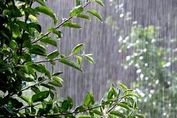 آیا بارش‌ها توانستند شدت معضل کم‌آبی را کاهش دهند؟