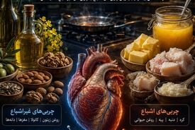 حقیقت روغن‌ها؛ سالم بودن فقط به «گیاهی بودن» نیست