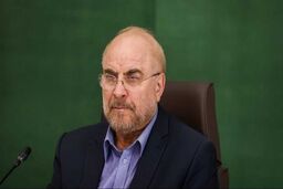 تریتا پارسی: ممکن است قالیباف مستقیماً با ونس دیدار کند