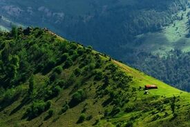 نقشه ثروت سبز ایران؛ شکاف ۴۶۲ برابری جنگل‌ها از فارس تا همدان!