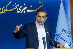 سخنگوی قوه قضائیه: هرگونه همکاری اطلاعاتی با اسرائیل و آمریکا توقیف اموال و اعدام در پیش دارد