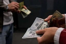 قیمت جدید دلار، یورو و سایر ارزها امروز ۱۳ خرداد ۱۴۰۵ +  جدول
