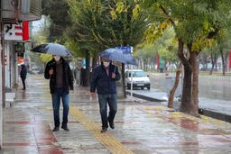تهران تا شنبه بارانی است
