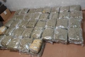 ۷۴ کیلوگرم ماده مخدر «گل» در گمرک آستارا کشف شد