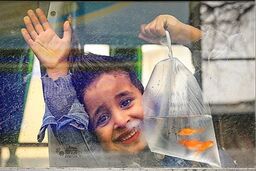 میان سوگ و امید؛ مردمی که با زخم‌های جنگ به استقبال نوروز می‌روند