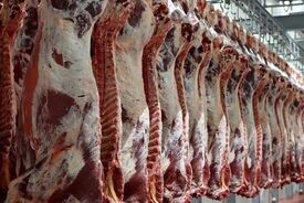 قیمت گوشت کاهش می‌یابد | عرضه گوشت قرمز به قیمت هرکیلو ۸۵۰هزار تومان