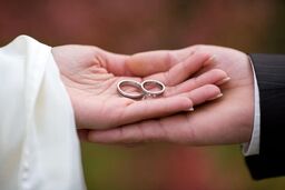 هزینه‌ یک عروسی در تهران چقدر آب می‌خورد؟