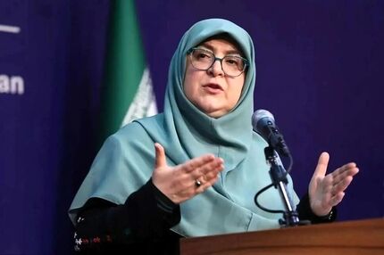 ببینید | سخنگوی دولت: فشار اقتصادی مستقیم حاصل تحریم‌هاست