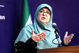 مهاجرانی: دولت به دنبال کاهش فشار ناترازی انرژی بر واحدهای تولیدی است
