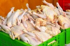 قیمت جدید مرغ اعلام شد