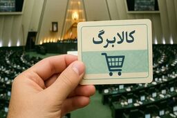 زنگنه: اعتبار کالابرگ بدون مشکل قابل استفاده است