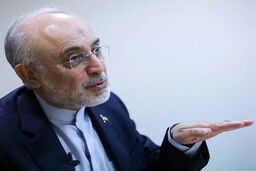 از رابطه با آمریکا تا دیپلماسی منطقه‌ای؛ دو خاطره صالحی از نگاه رهبر شهید به دیپلماسی