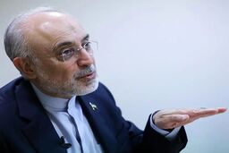 از رابطه با آمریکا تا دیپلماسی منطقه‌ای؛ دو خاطره صالحی از نگاه رهبر شهید به دیپلماسی