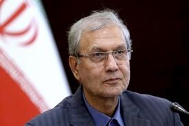 علی ربیعی، دستیار اجتماعی رییس جمهور: لج بازی نکنید