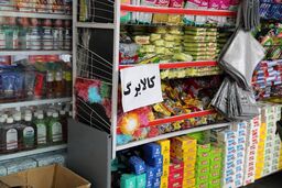 یک کالای جدید به کالابرگ الگترونیکی اضافه شد