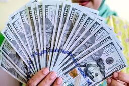 قیمت دلار، یورو و سایر ارزها امروز اول مردادماه ۱۴۰۵/ جدول