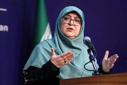 سخنگوی دولت: مشکلی در تامین انرژی و کالاهای اساسی نداریم
