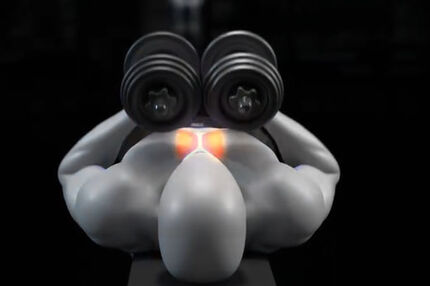 تقویت و افزایش حجم عضلات سینه با ۵ حرکت مؤثر دمبل